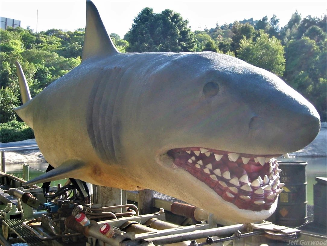 A drained Jaws Lake and out of water shark at Universal Studios Hollywood 2001 @UniStudios 

📸: jeffgurwood.com