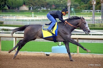 Arrogate truly is probably the greatest 2 turn dirt sire we have seen in the past 20 years.  In just the few years he was at stud, his progeny won:

- Kentucky Oaks
- Preakness 
- Belmont
-Travers
- Cave Rock = The best 2 year old since Uncle Mo

I'm so proud of you, Arro! 💘 🐎