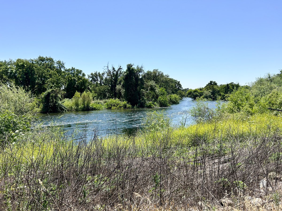 The Merced County Sheriff's Office is currently responding to the Merced River near Snelling, where a kayaker is stranded in the middle of the river. This is the second rescue on the Merced River in just a few days. Read more here: m.facebook.com/story.php?stor…