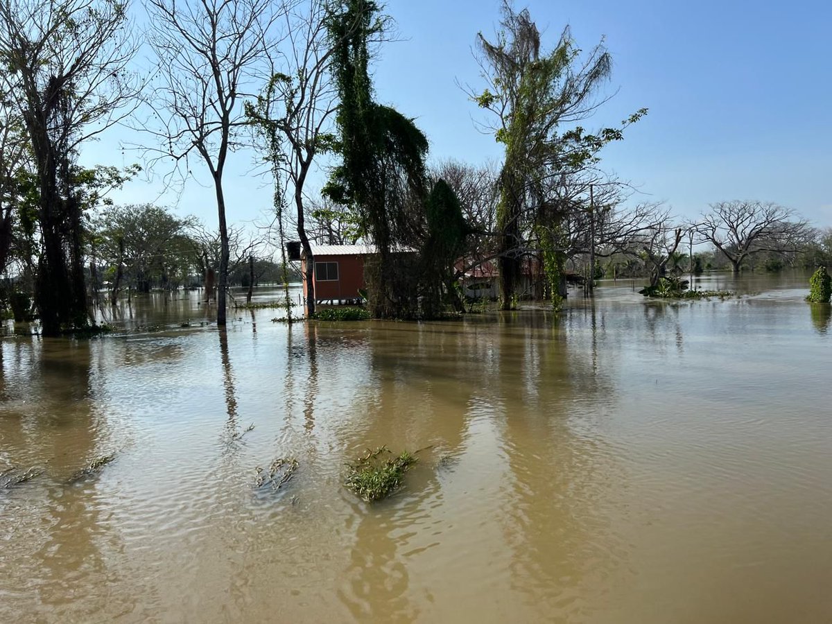 Nuestro subgerente de Protección Animal, Edilberto Brito, junto a los funcionarios del ICA, están en la región de #LaMojana afectada por las lluvias, para avanzar con las acciones que el ICA viene implementando para atender la emergencia por la ruptura del dique de 📍#Caregato.