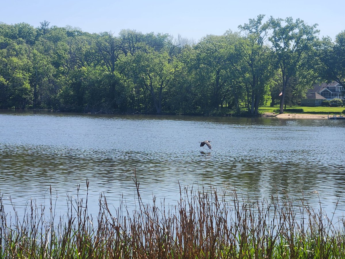 Rock River #Janesville @DiscoverWI #RiverPhotography #RiverLife #GetOutdoors