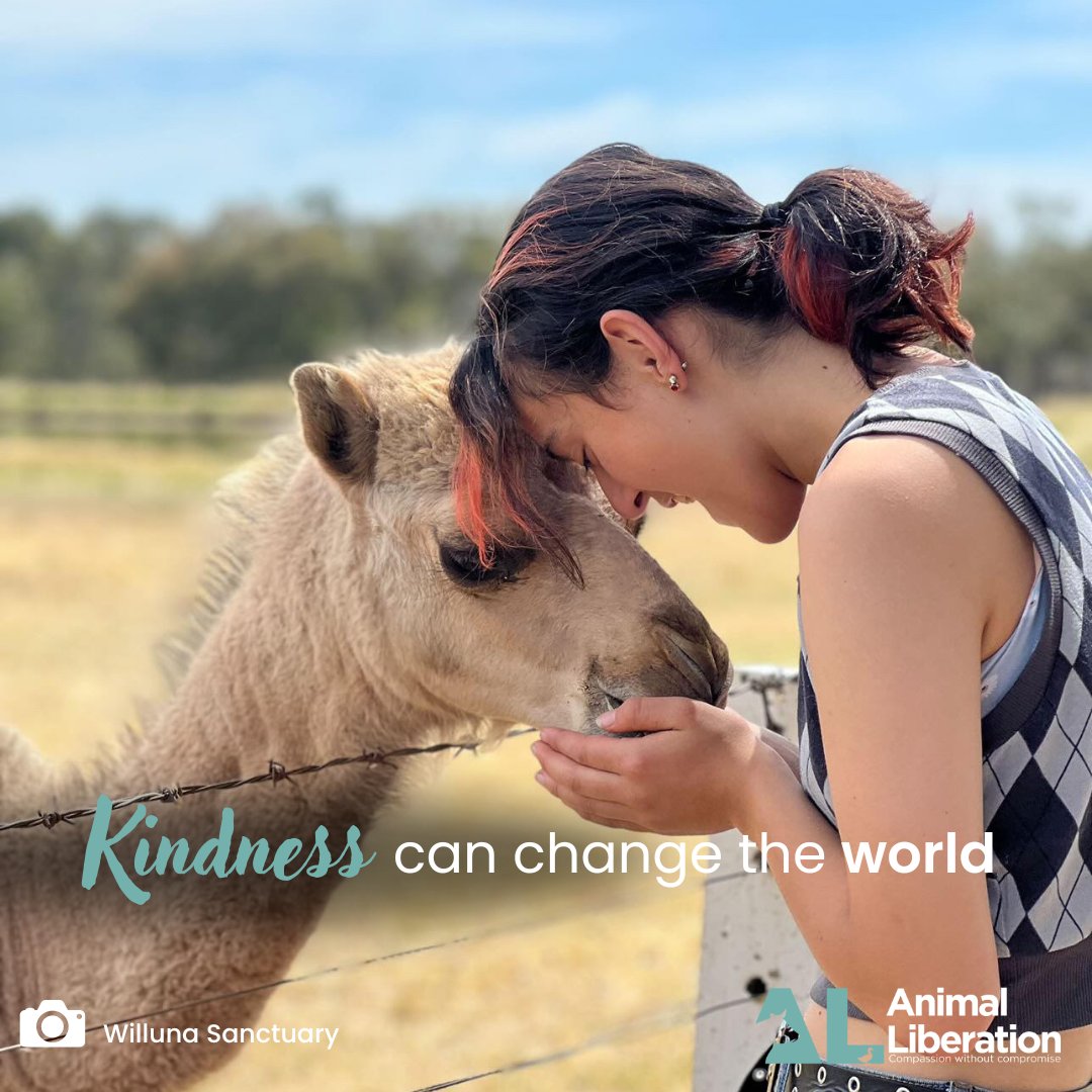 “It takes nothing away from a human to be kind to an animal.”- Joaquin Phoenix.