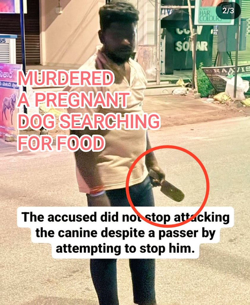 This man is a butcher. 🔴He stabbed a pregnant dog searching for food to death 🔴He stabbed her multiple times !!! ▶️Location : Annapurna Nagar, Opp, SriRam Nagar, Gorantla, Guntur, A.P ▶️Please take action @AndhraPradeshCM @police_guntur @pfaindia @PetaIndia