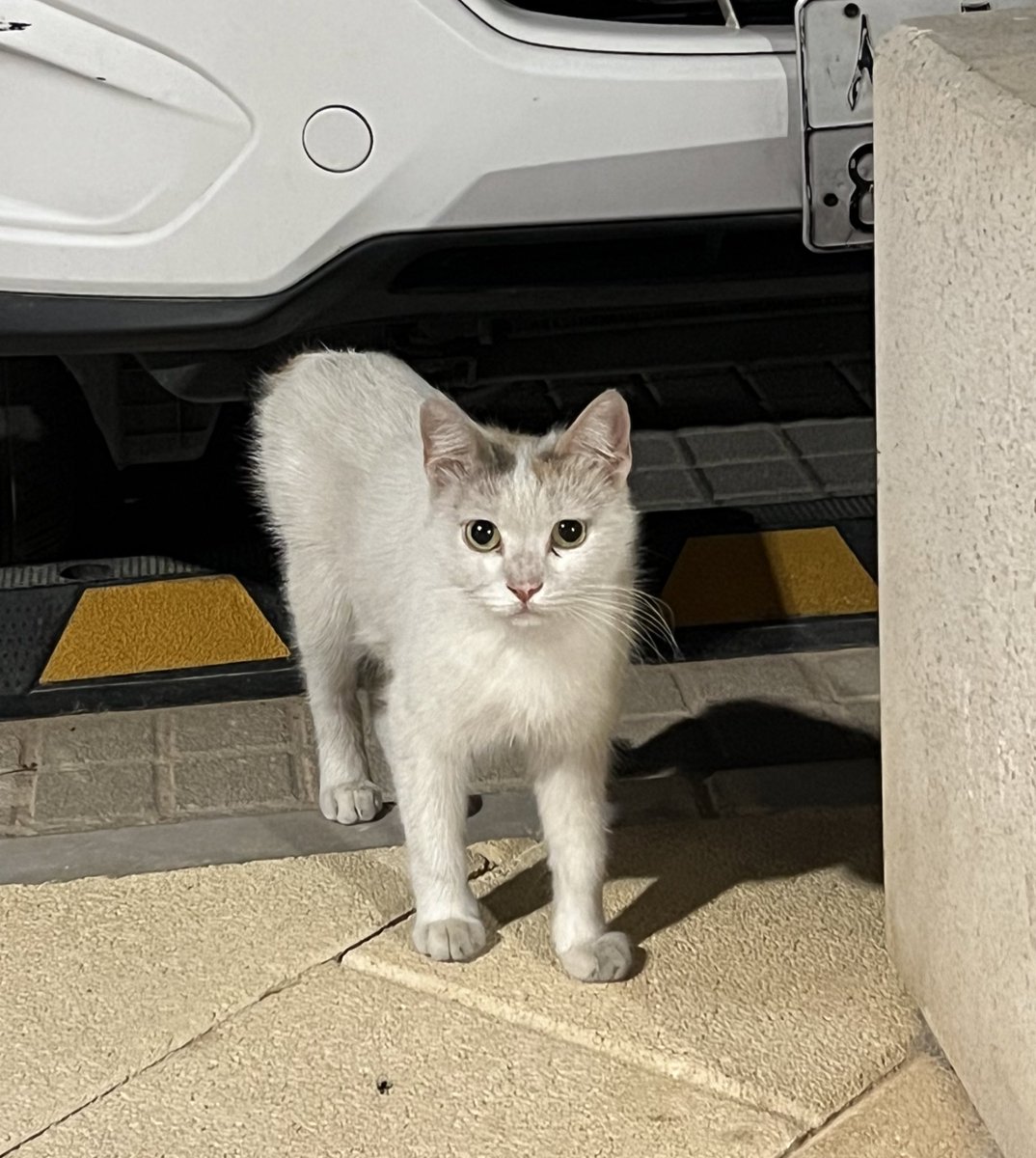 الطلعات العشوائيه احبهااا