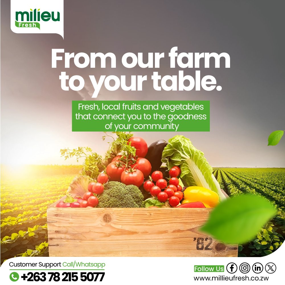 Milieu Fresh tweet media