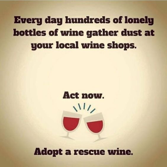 😄😄😄

Happy Sunday, we have hundreds of wines ready for your adoption 😅, here is the link, we deliver 🔻:
shop.lecellier-wines.com

#winelovers #winejokes #wineweekend #onlinewineshop #localwineshop #lecellierwineselection

Photo credit to the owner.