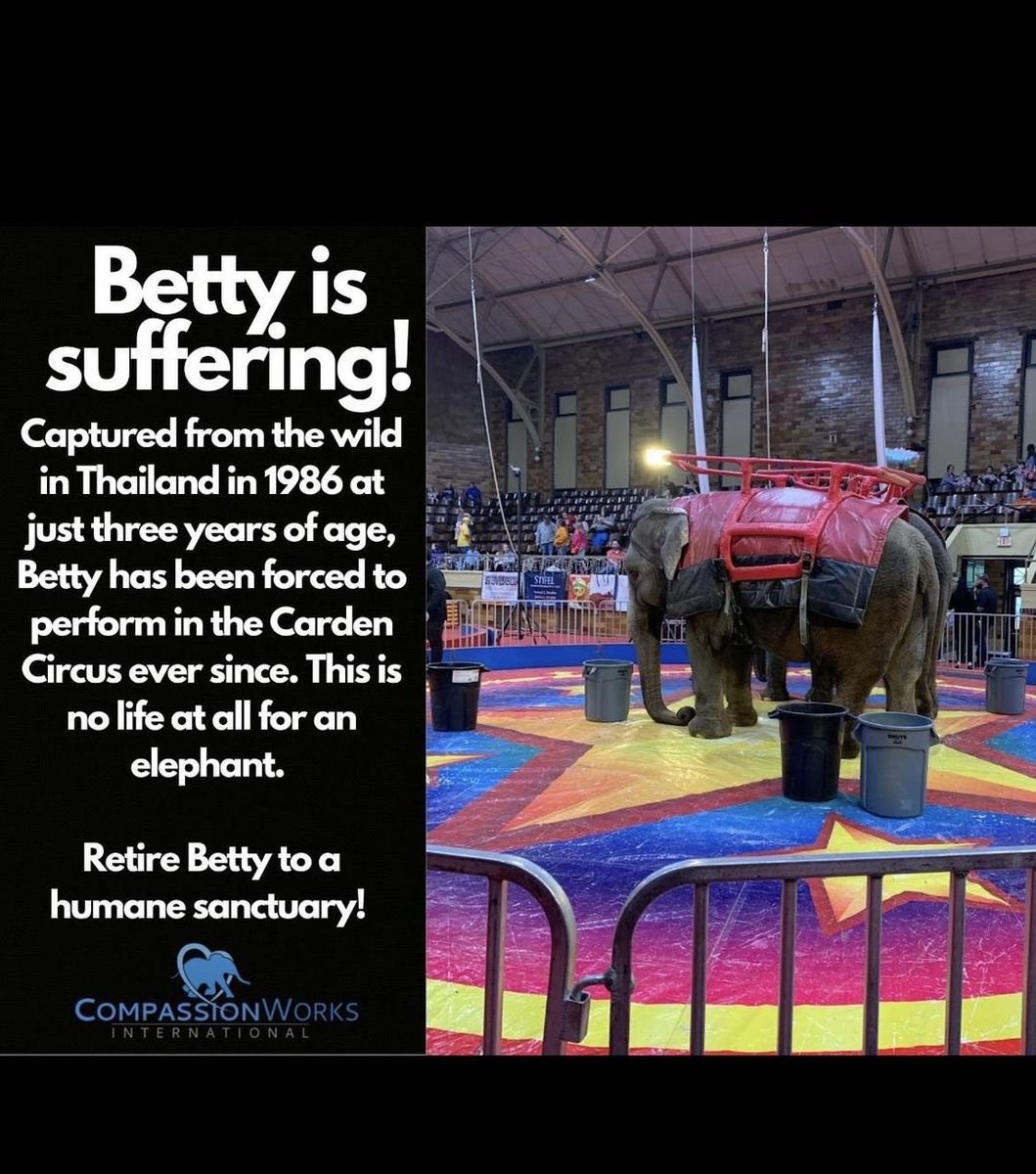 @RevaWing @PieterseMarc @USDAFoodSafety Glad you have a heartfelt concern for Betty. Poor soul should be in a sanctuary. Such cruelty …