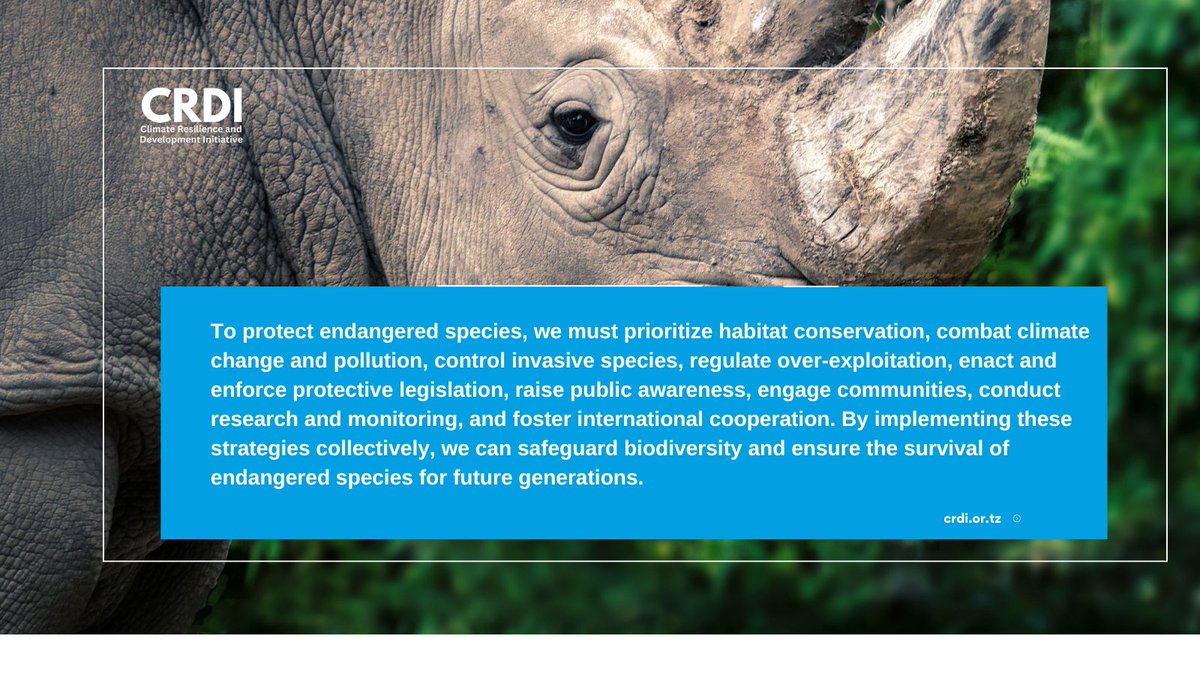 #ProtectEndangeredSpecies #HabitatConservation #ClimateAction #CombatPollution #InvasiveSpeciesControl #OverexploitationRegulation #ProtectiveLegislation #PublicAwareness #CommunityEngagement #ResearchAndMonitoring #InternationalCooperation #BiodiversityProtection