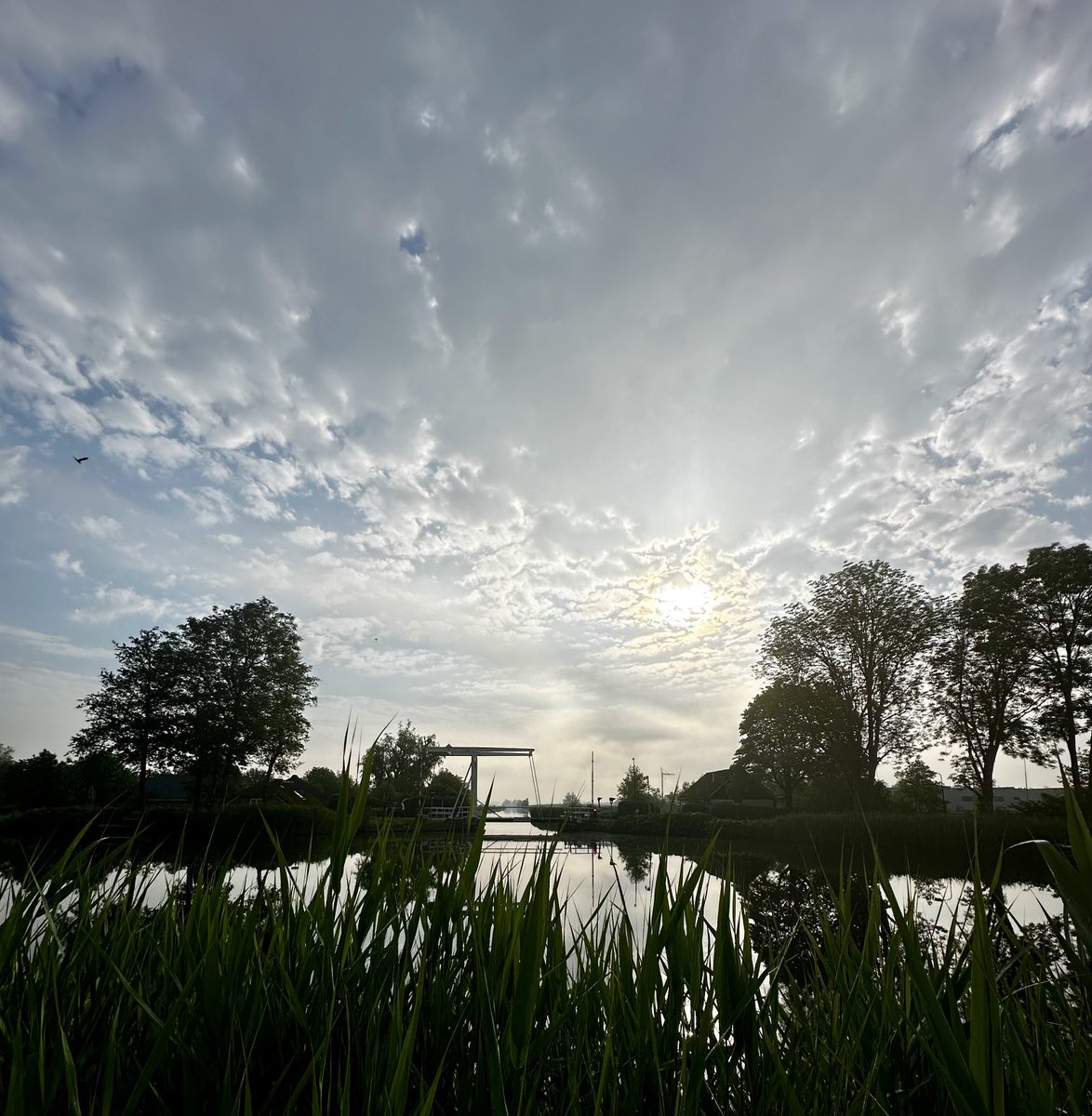 Eveline 🐾 tweet media