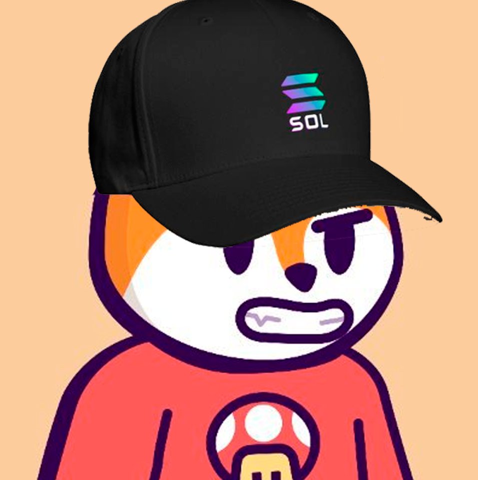 Sakura_Bet's tweet image. Yo Boro, Grab your @SolanaHat

The only $SolHat on SOL, the dev is live in VC and sending it.

Number 8 on Dex and gaining.

dexscreener.com/solana/eg9rn8m…