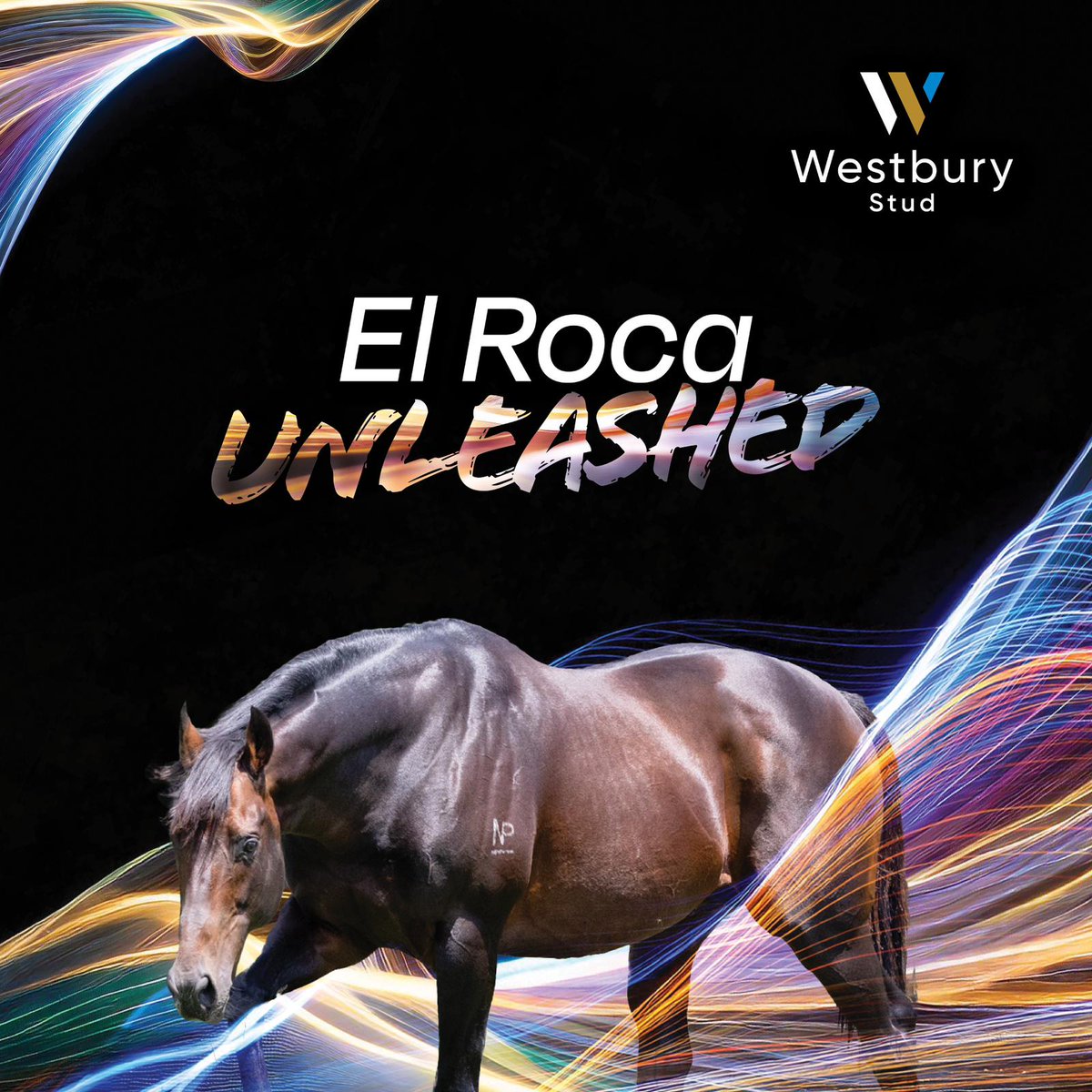 Westbury Stud tweet media