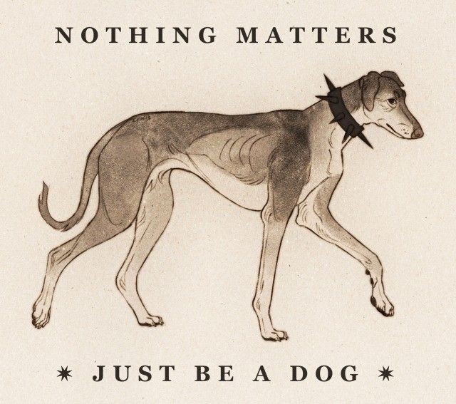 caninepoetry (@caninepoetry_) on Twitter photo 