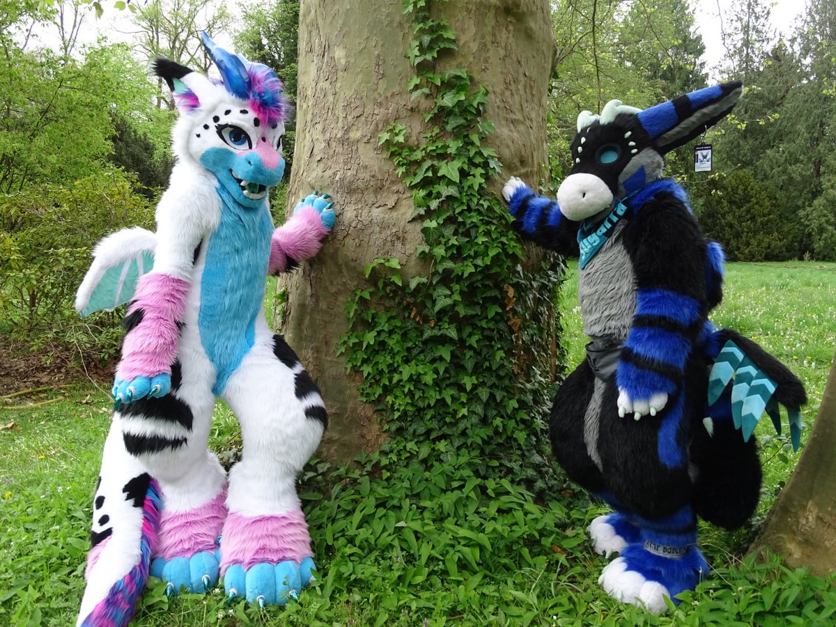 Happy #Suitcrushsunday

Today with Riley and Sugarra. And i love both suits very much. I getting rly shy, when i see both of them. Still want more hugs from both of them.

Riley is made and worn by <a href="/MelisDragonpets/">Melina's Dragonpets</a>
Fursuiter is <a href="/SugarraAcnologi/">Sugarra Agnologia</a> made by <a href="/ChimotOwO/">Chimoto 🔜Gdakon</a>
📸 &amp;✂️ by me