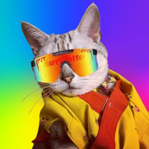 ZKvivid's tweet photo. @sibeleth @minigangsol $1cat will make you happy too :)

@1catsol https://t.co/PUCBsoJJFG