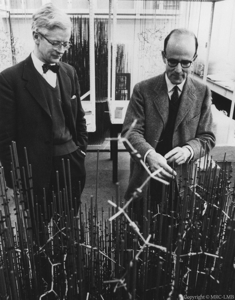 Chemist Max Perutz (right) mapped the structure of haemoglobin - the protein that allows blood to transport oxygen to the body's muscles. Perutz shared the 1962 chemistry prize with John Kendrew (left), the first person to successfully determine the atomic structure of a protein.