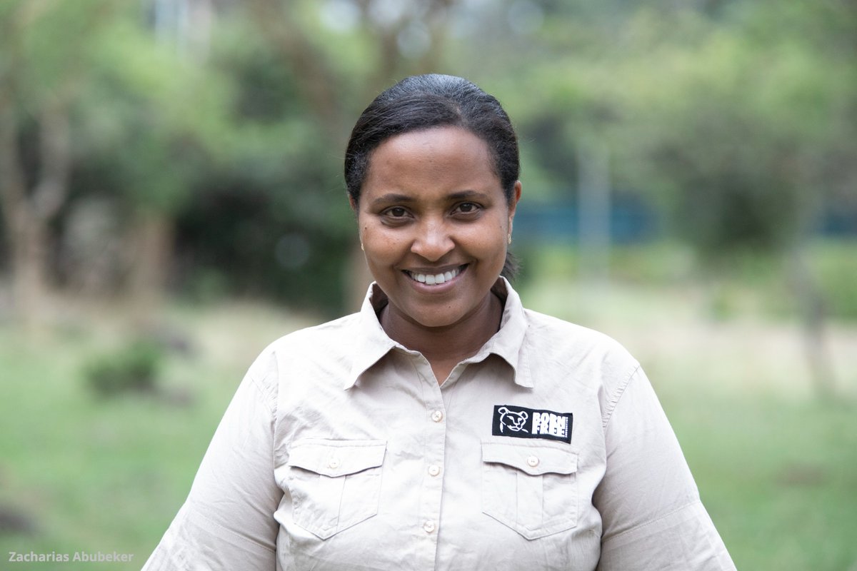Say hi to Bezunesh! Bezunesh works at our Ensessa Kotteh Centre in Ethiopia and we're lucky to have had her on the team for 6 years. She says: 'I would like to express my greatest gratitude for all of you out there who support the work we do here at Born Free.'