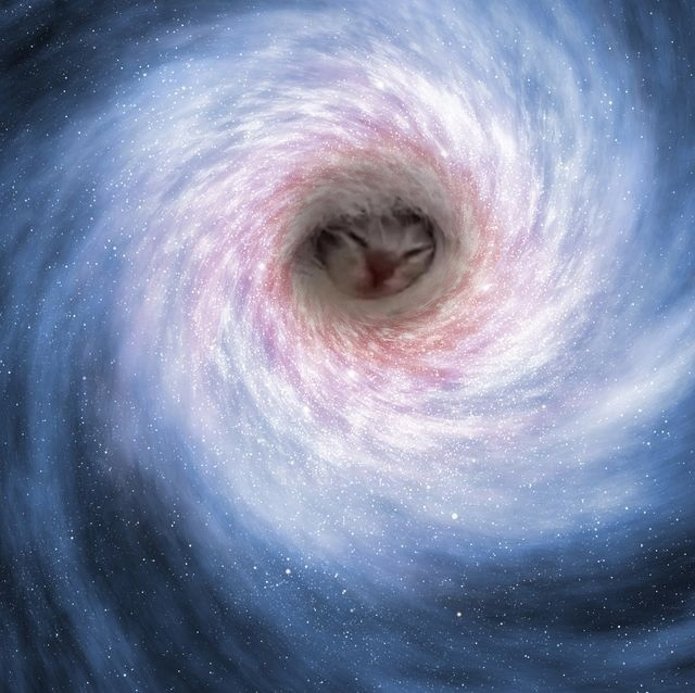 Photoshopping kittens my friends send me into black holes