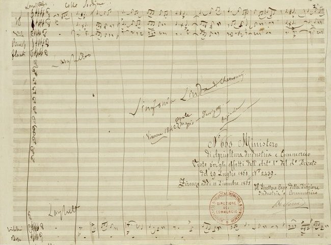 O luce di quest'anima … Donizetti’s Linda di Chamounix was premiered in Vienna #OTD in 1842.