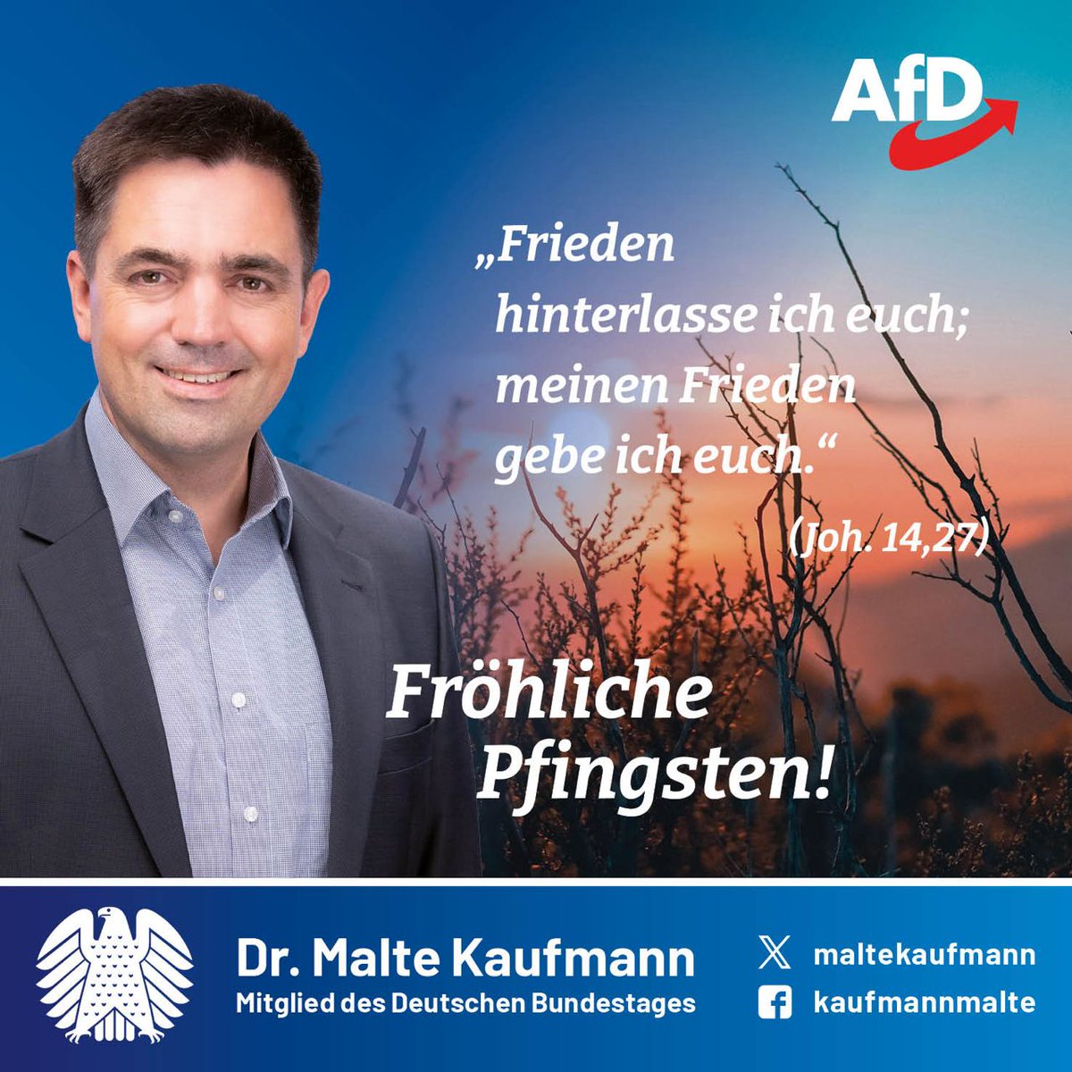 Ich wünsche Ihnen und Ihren Angehörigen fröhliche und friedvolle #Pfingsten! Lasst uns zur Ruhe kommen und Kraft tanken, bevor der Wahlkampf in den Endspurt geht.