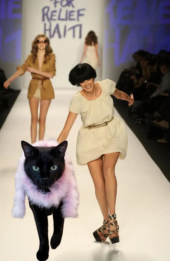 catwalk_solana's tweet photo. Slaying the runway and stealing hearts, one purr at a time! 😹💖 $Catwalk
Jeeters are out btw. lol https://t.co/rABuMRPvMN