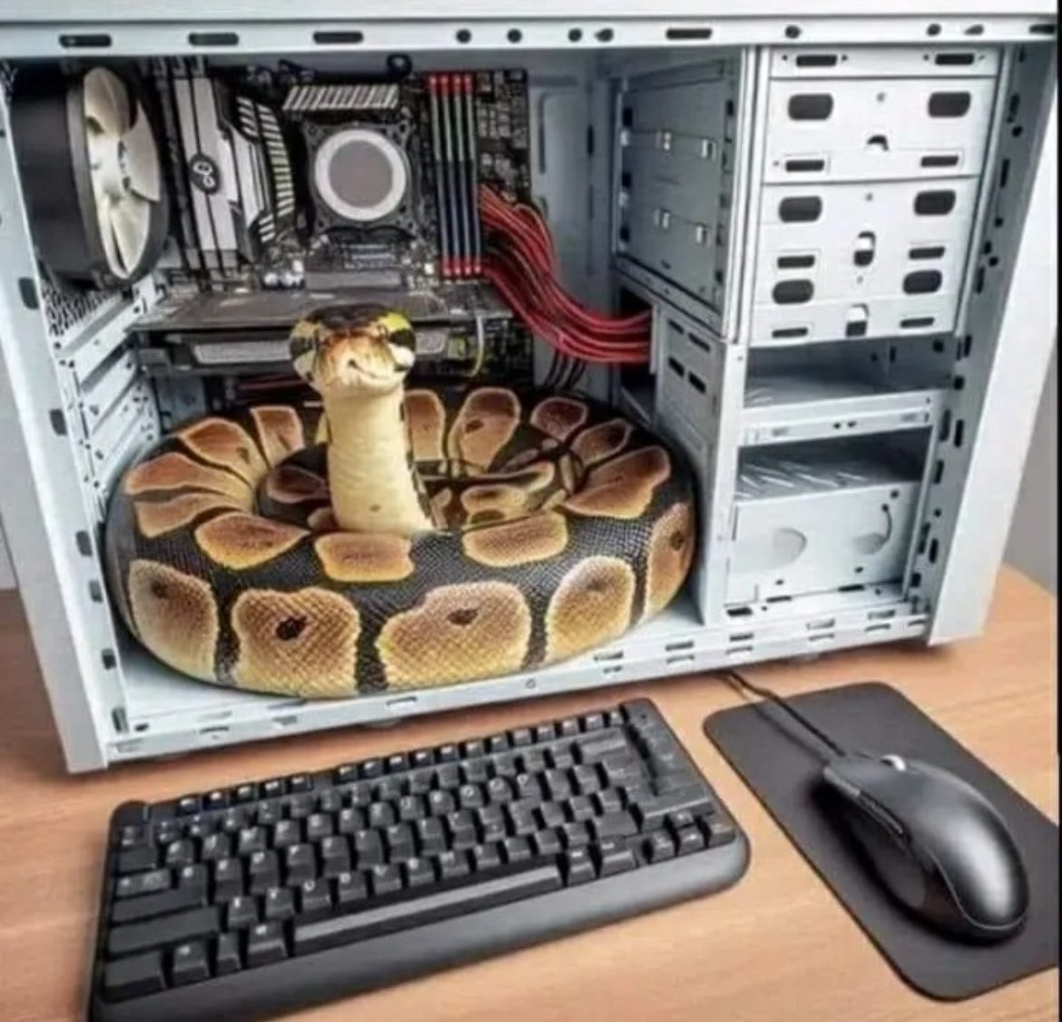 just installed python, what next
