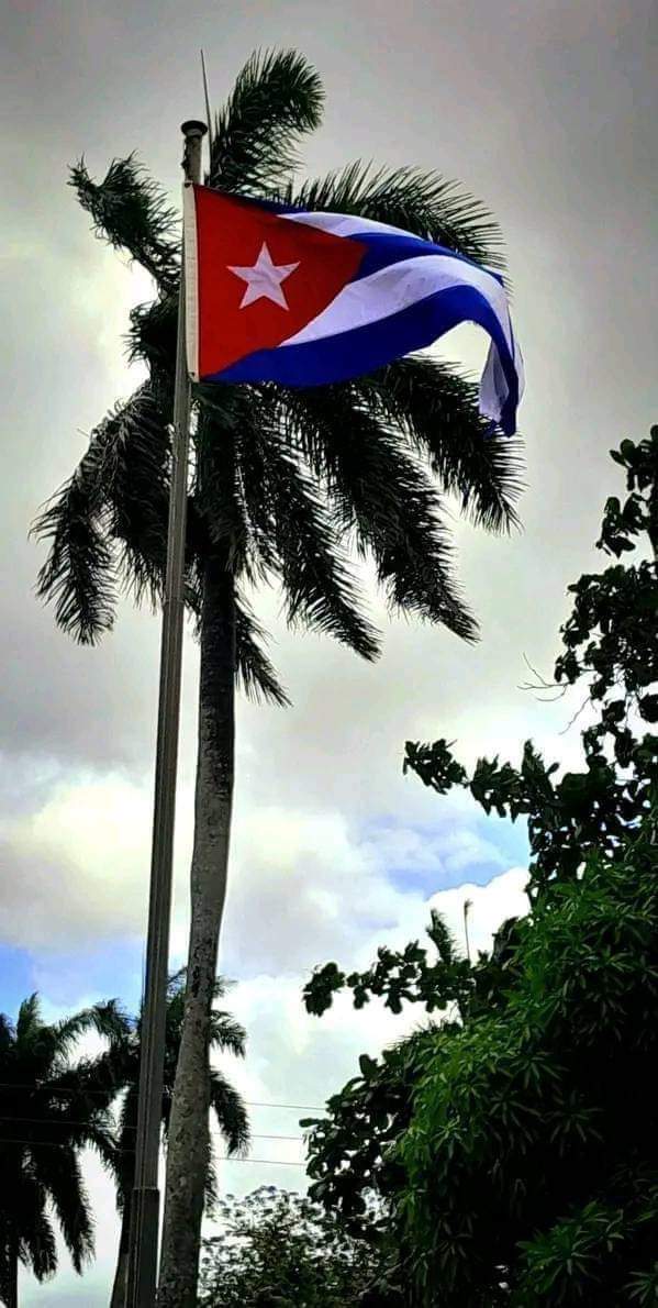 PrielLidia's tweet photo. @ConsulCubaRoma @MirtaGranda @NacionyEmig @SoberonGuzman @AnaTeresitaGF @conaci_it @PularRangel @IrmaTimbalaye @UlisesTimbalaye @EmbaCuba_Italia Compromiso para nuestra comunidad
#JuntospprCuba https://t.co/Ewaxwv0wdf