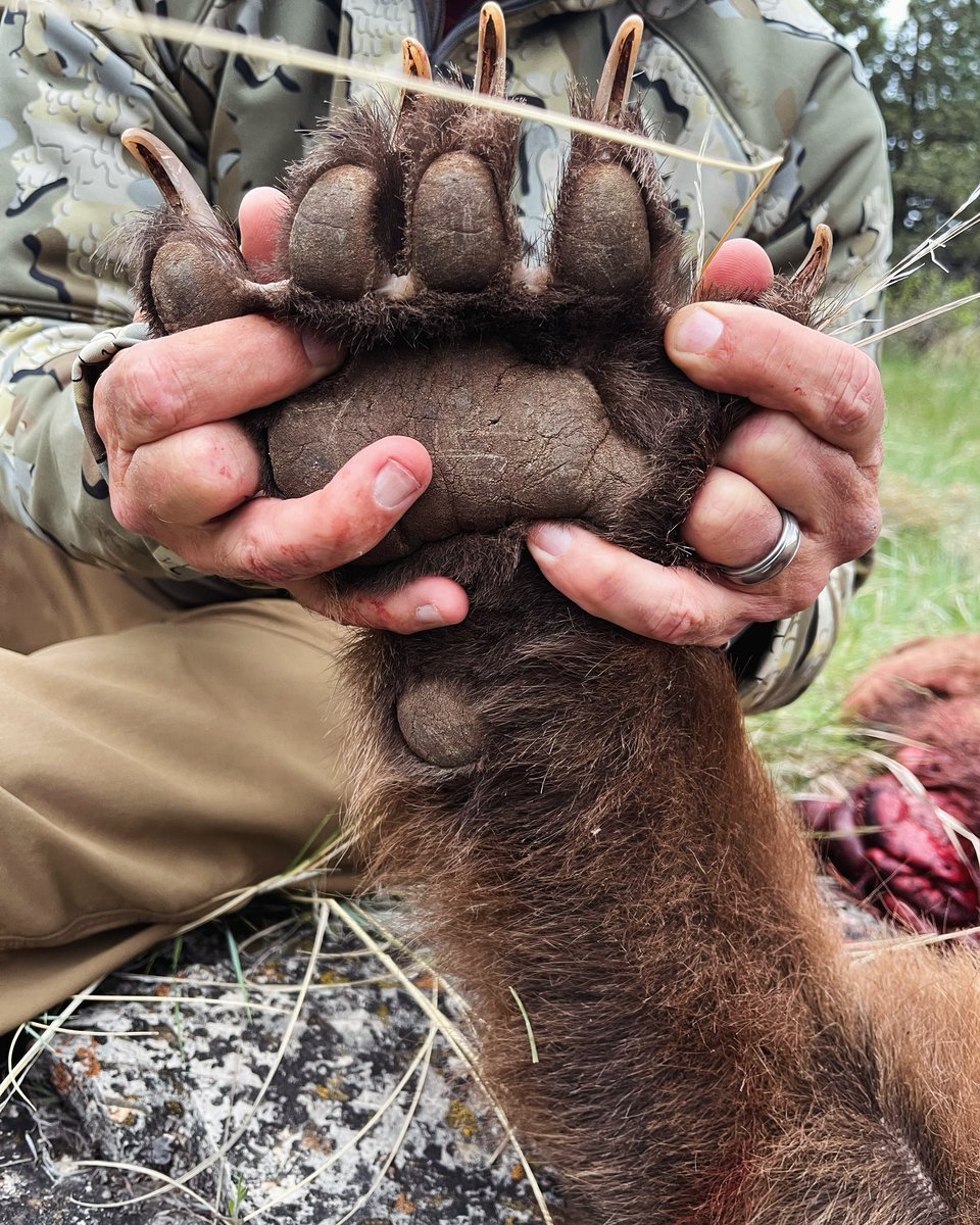 Scott Soderstrom tweet media