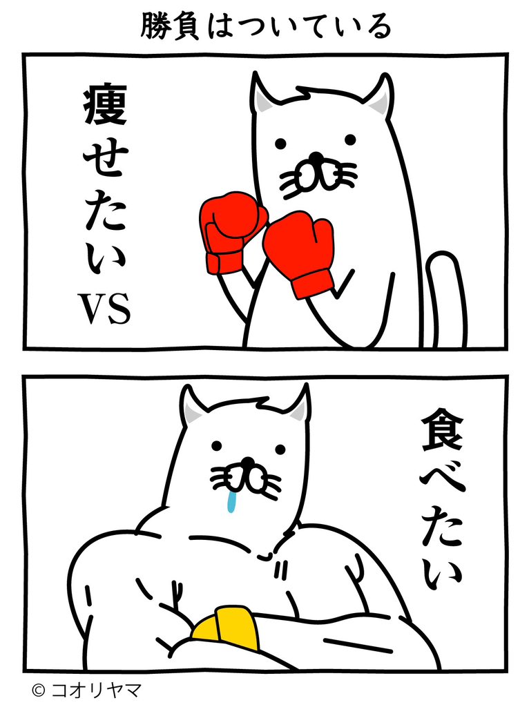 #マッチョ猫大会  勝負はついている…!