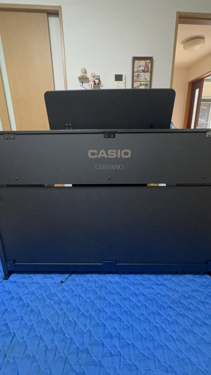 pon_channel_13's tweet photo. 🐍👶🎹設置完了✅

大興奮🤩

#ピアノ
#CASIO 
#GP310
#ハイブリッドピアノ https://t.co/sO0Im5QtyJ