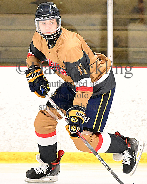 New pics of #TeamGold from @EHL Michigan Combine now up on their @eliteprospects player pages ... Also coming to select @_Neutral_Zone pages ... Check 'em out! @mhick1953 #WherePlayersComeFirst #EHLCombineSeries @NeilRavin18