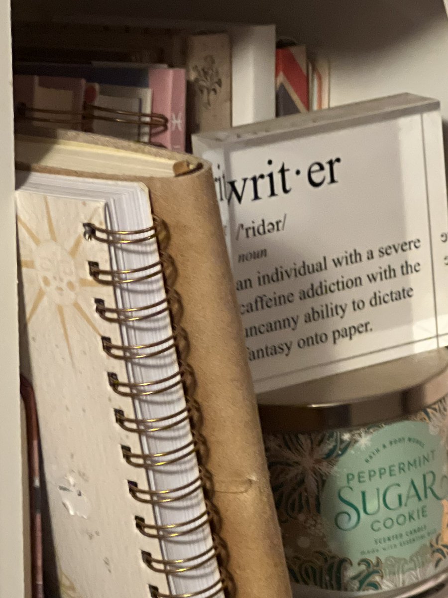 DropandRead24's tweet image. #NotebookDay #Writeabook