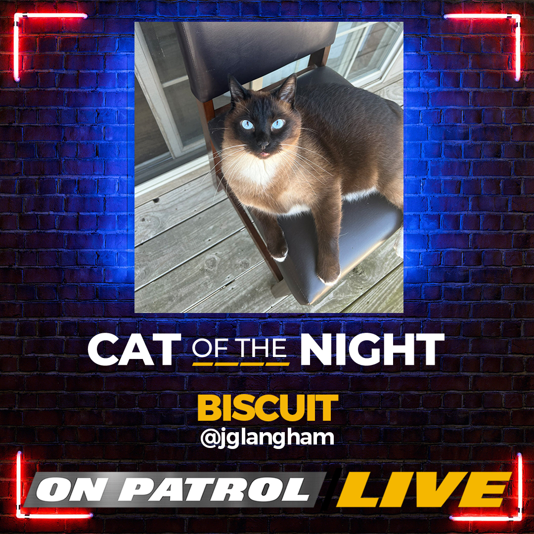 Congratulations Biscuit @jglangham! You are the #CatOfTheNight. 
Meow!

#OPLive #OPNation #OPWeekend #REELZ