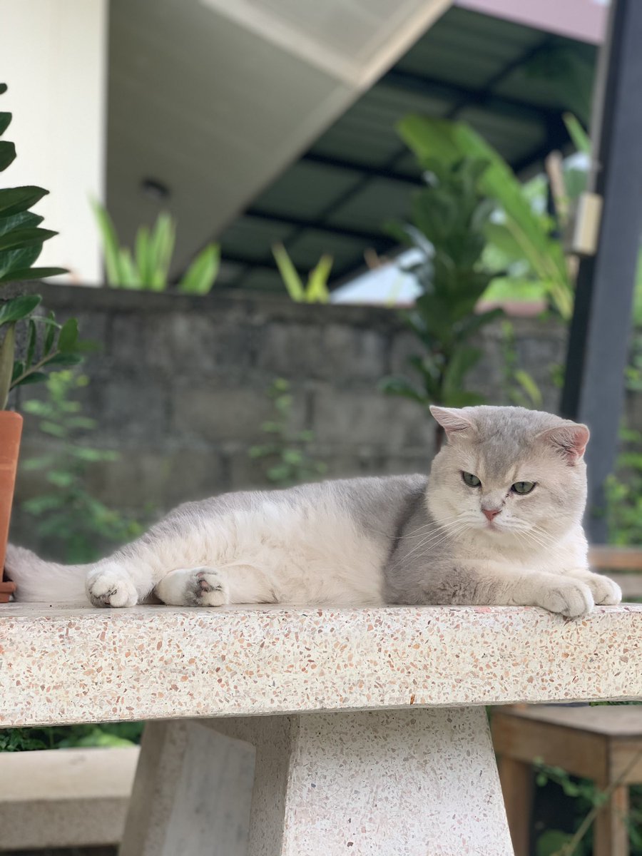 ฟอร์มมาตอนจะ2ขวบ ลูกชายคนเล็กหล่อมาก