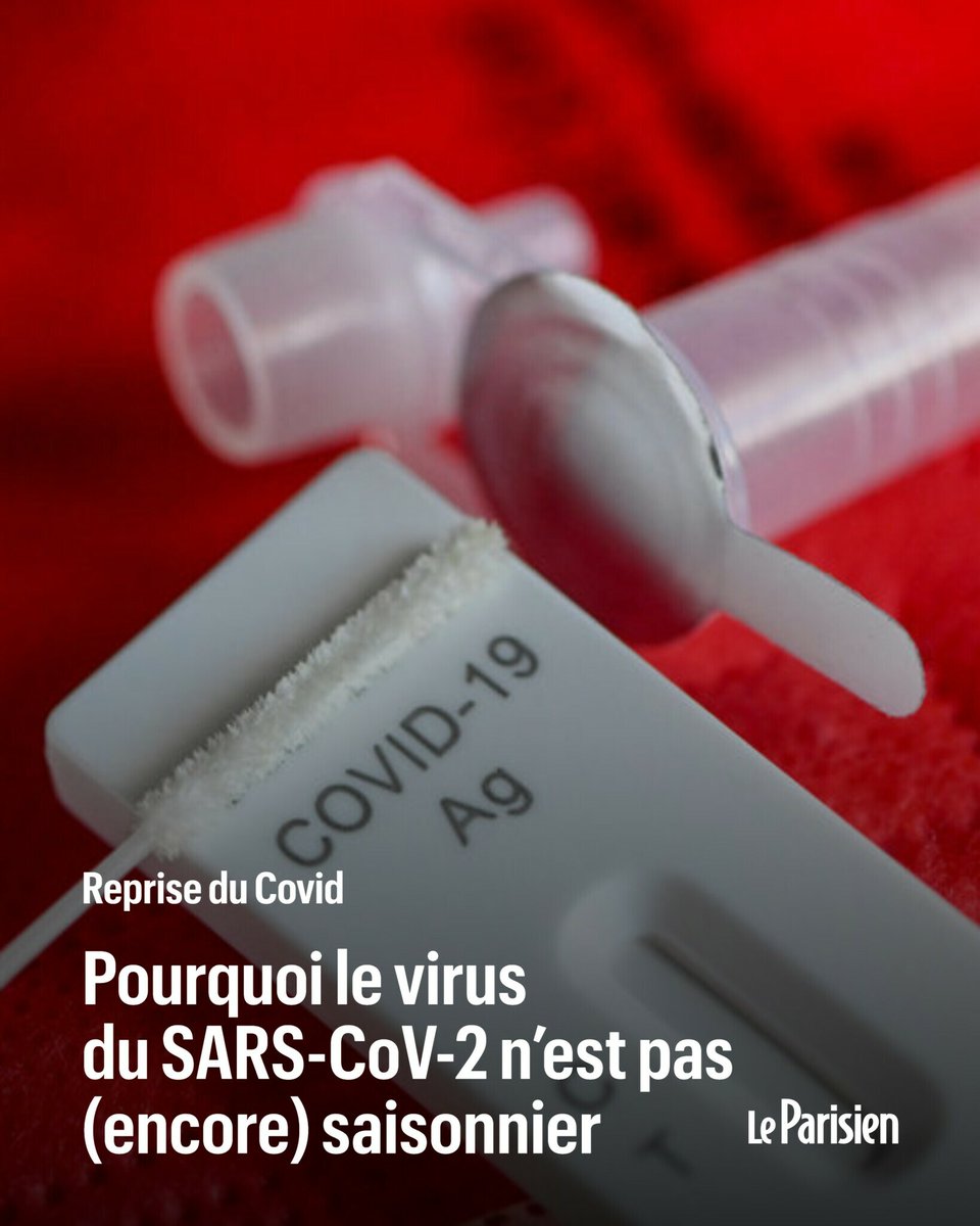 🦠 La circulation du Covid dans les eaux usées est repartie à la hausse depuis plusieurs semaines. Pour les experts, le scénario d’une «vague» annuelle unique, comme pour la grippe, est possible mais pas garanti à l’avenir ➡️ l.leparisien.fr/iS5m