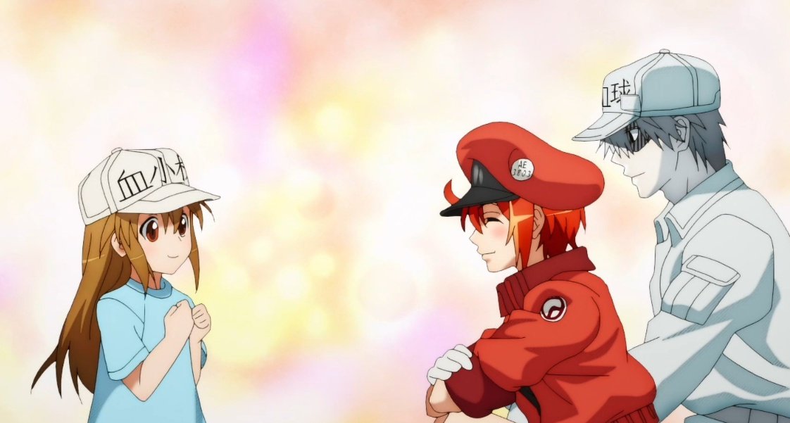 WBC_U1146's tweet photo. “ ขอมาเสริมนิดหน่อยน่ะนะ ”

“ ในภาคของฉัน หรือ Hataraku saibou จะเป็นภาคหลัก โดยเน้นไปที่การทำงานของระบบร่างกายมนุษย์ที่ยังไม่ค่อยซับซ้��นมากเท่าไหร่นัก และดำเนินเนื้อเรื่องคล้ายๆชีวิตประจำวันของเซลล์ภายในร่างกาย ว่าจะต้องเจออะไรบ้าง ทั้งแผลถลอก หรือเชื้อไวรัสต่างๆ เป็นต้น ”

+ https://t.co/0kYpnXqyez
