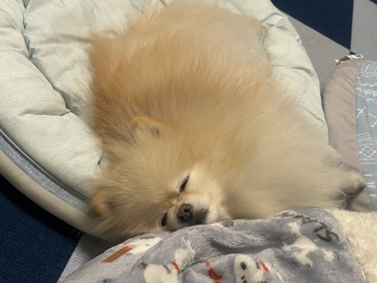 くったりすやぁ