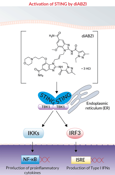 This small molecule inhibitor is going to kick butt and take names. It might not be perfect, but researchers who are independent of one another have been tracking its functionality in cancer, autoimmune, and viral, and it's doing something incredible in every single case they try