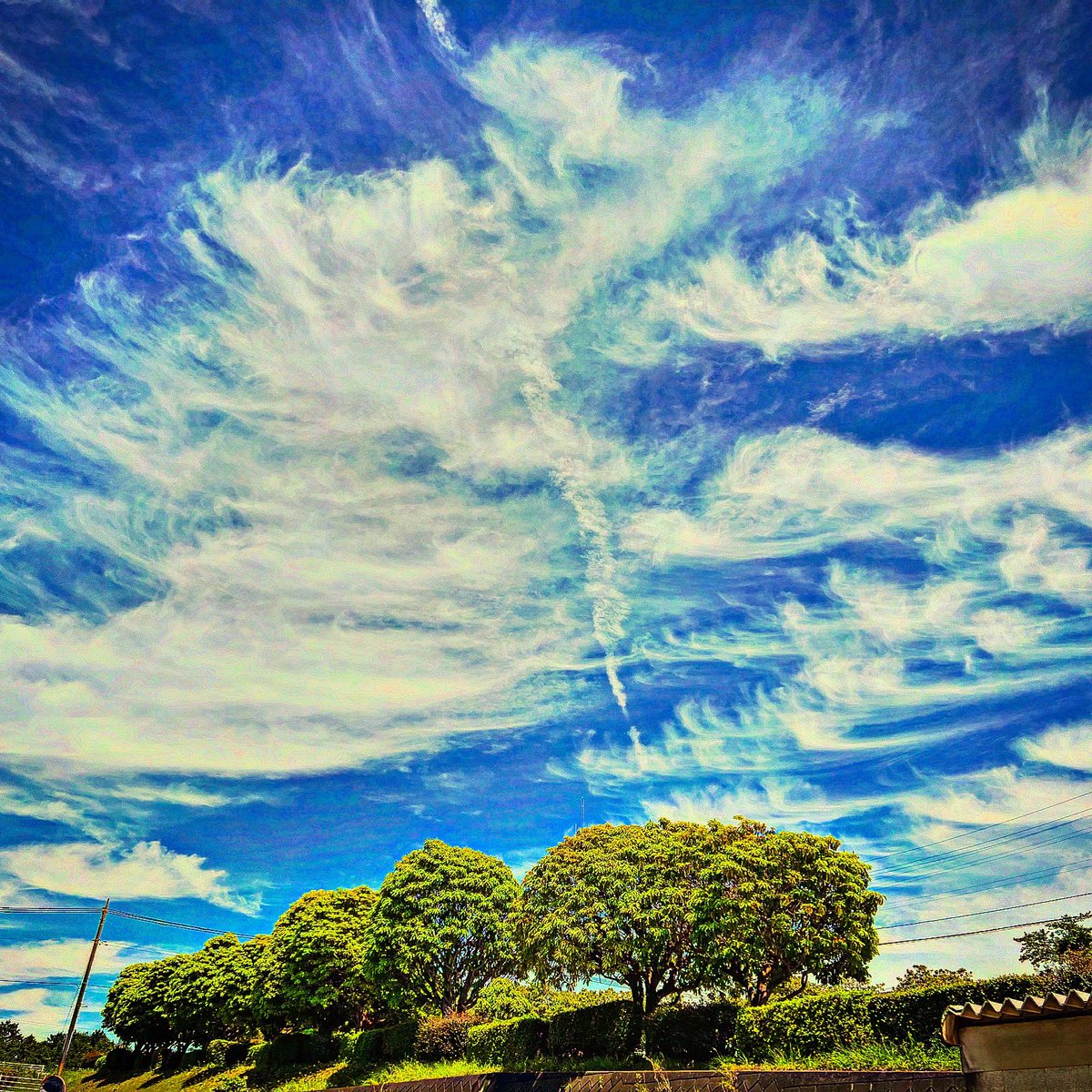 いつかの空☀️☁️🌳

#空
#青空
#雲
#緑
#風景
#風景写真