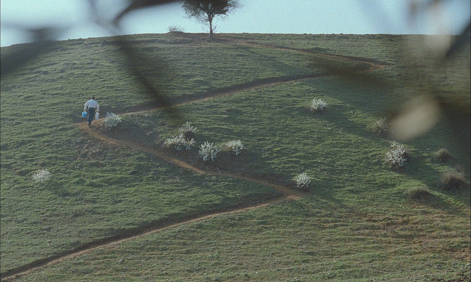 'I've often noticed that we are not able to look at what we have in front of us, unless it's inside a frame.' - Abbas Kiarostami