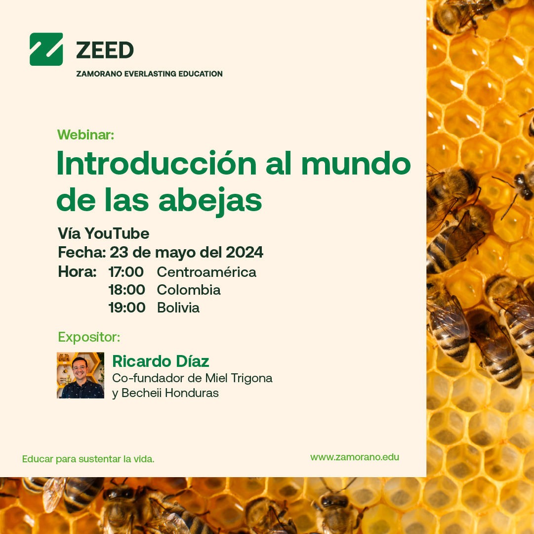 #WebinarAlert🚨 | 🍯🌱 ¿Te fascinan las abejas? 🐝 Acompáñanos en el webinar este 23 de mayo. 📆 ¡Regístrate hoy mismo! 🔗➡️  lc.cx/l8cFwv #zamorano #webinar #abejas #aprendeconzamorano #aprendizaje