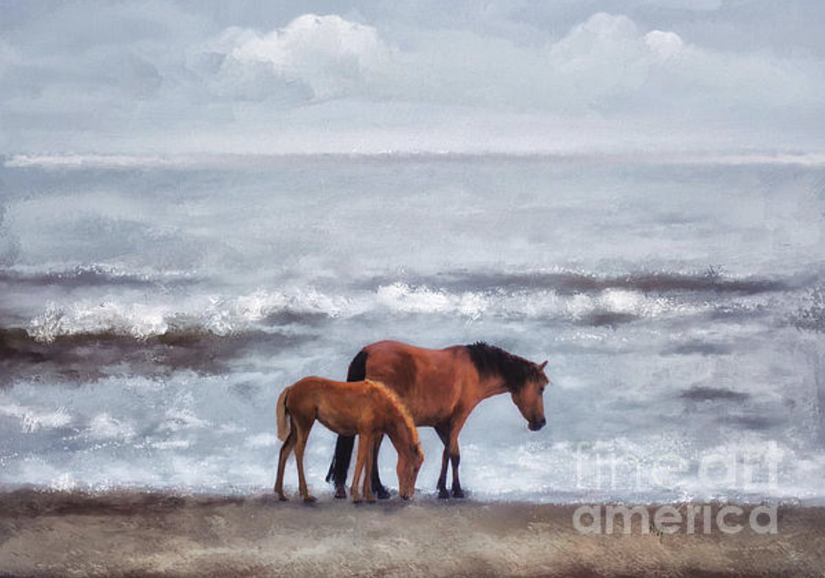 'Mother And Child' tied for 3rd in the 5/18 #FineArtsAmerica contst Birth. Tnks to contst admn, Tusher Kabir & all who votd for my imge. Congtz to the othr winnrs! lois-bryan.pixels.com/featured/mothe… #art #giftideas #horses #wildlife #wildponies #wildhorses #ocean #AtlanticOcean #LoisBryan
