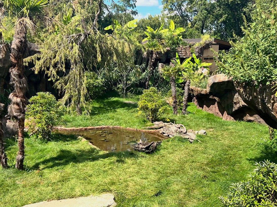 Under the guidance of horticultural expert David Farrow, the @NashvilleZoo transformed its animal habitats to best reflect natural environments, and has introduced innovative practices that blend animal comfort and environmental sustainability. Learn more: bit.ly/3wy3NxY