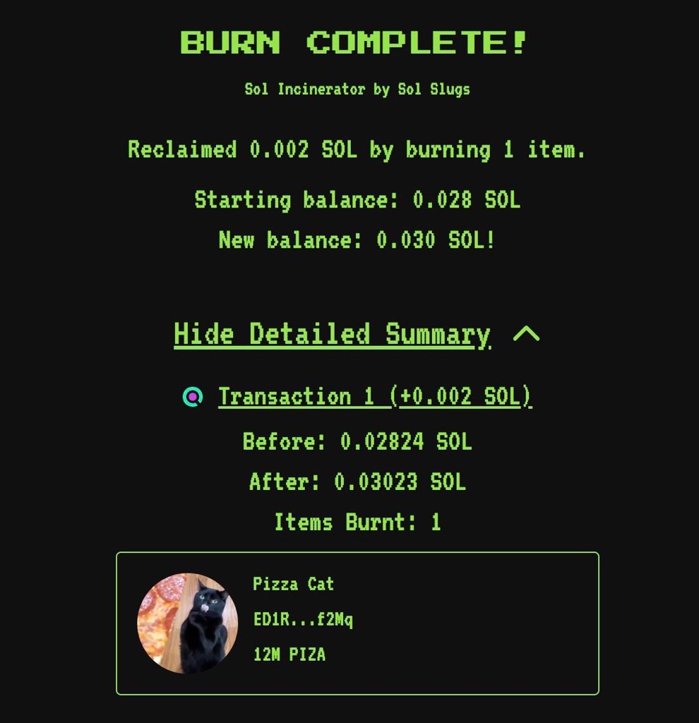 Piza Cat on Sol tweet media