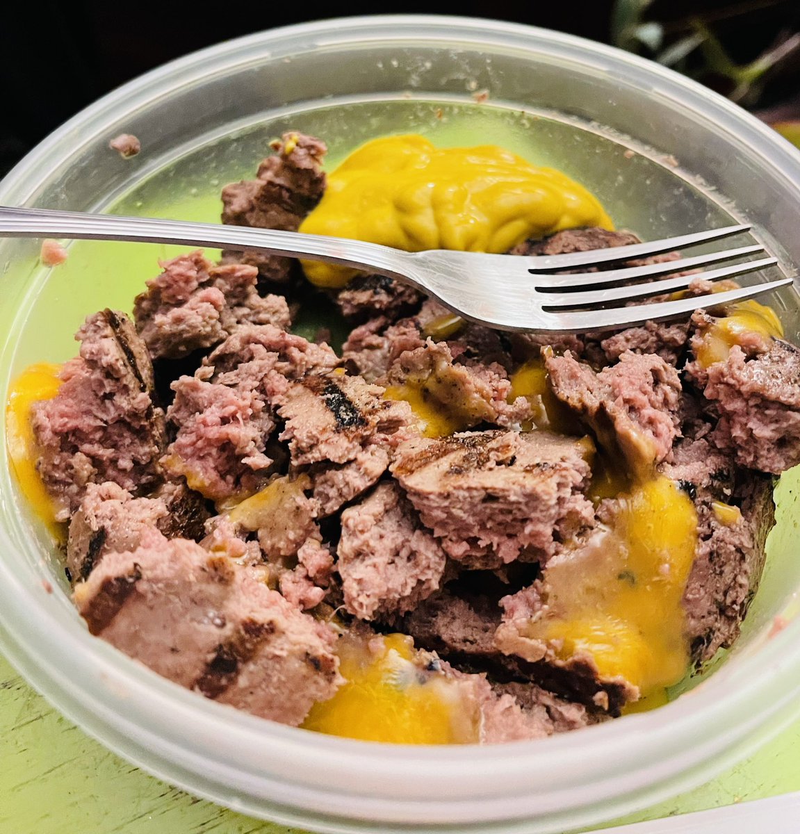 Day 7️⃣8️⃣ (5.18.24): Indulging in some late night snackin’ - 1 pound (beef) burgers, chopped, with 2 slices of cheddar mixed in and a couple tablespoons of yellow mustard for dipping.  #carnivorewomen  #carnivoreclub #carnivoreweightloss #carnivore #liondiet
#weightloss #macros