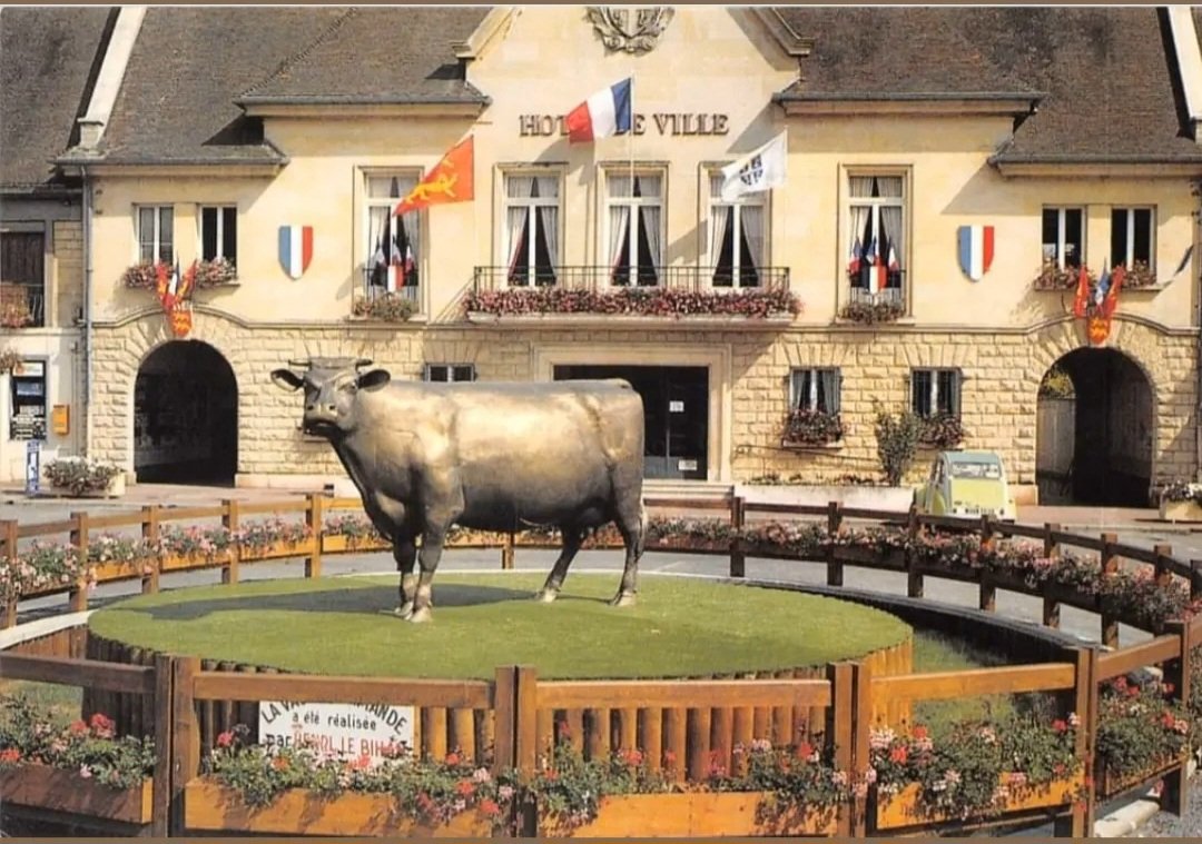 franck_fllhm's tweet photo. Cette vache à vraiment existé ,elle s'appelle Ratisfaite et c'est une vache #Normande ,elle trône au milieu de la place de #Vimoutiers au coeur du #PaysDAuge là où est né le #Camanbert et où #MarieHarel venait sûrement le vendre au marché et où j'ai passé ma jeunesse. https://t.co/pCguInRhaH