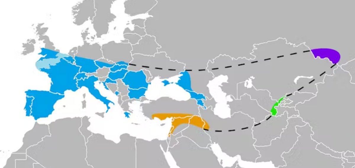 PALEOMAPAS El mundo neandental en Europa (azul), Sudeste asiático (naranja), Uzbekistán (verde) y las montañas Altai (violeta) a partir de los restos fósiles encontrados hasta el momento #Paleoantropología #Neandertales