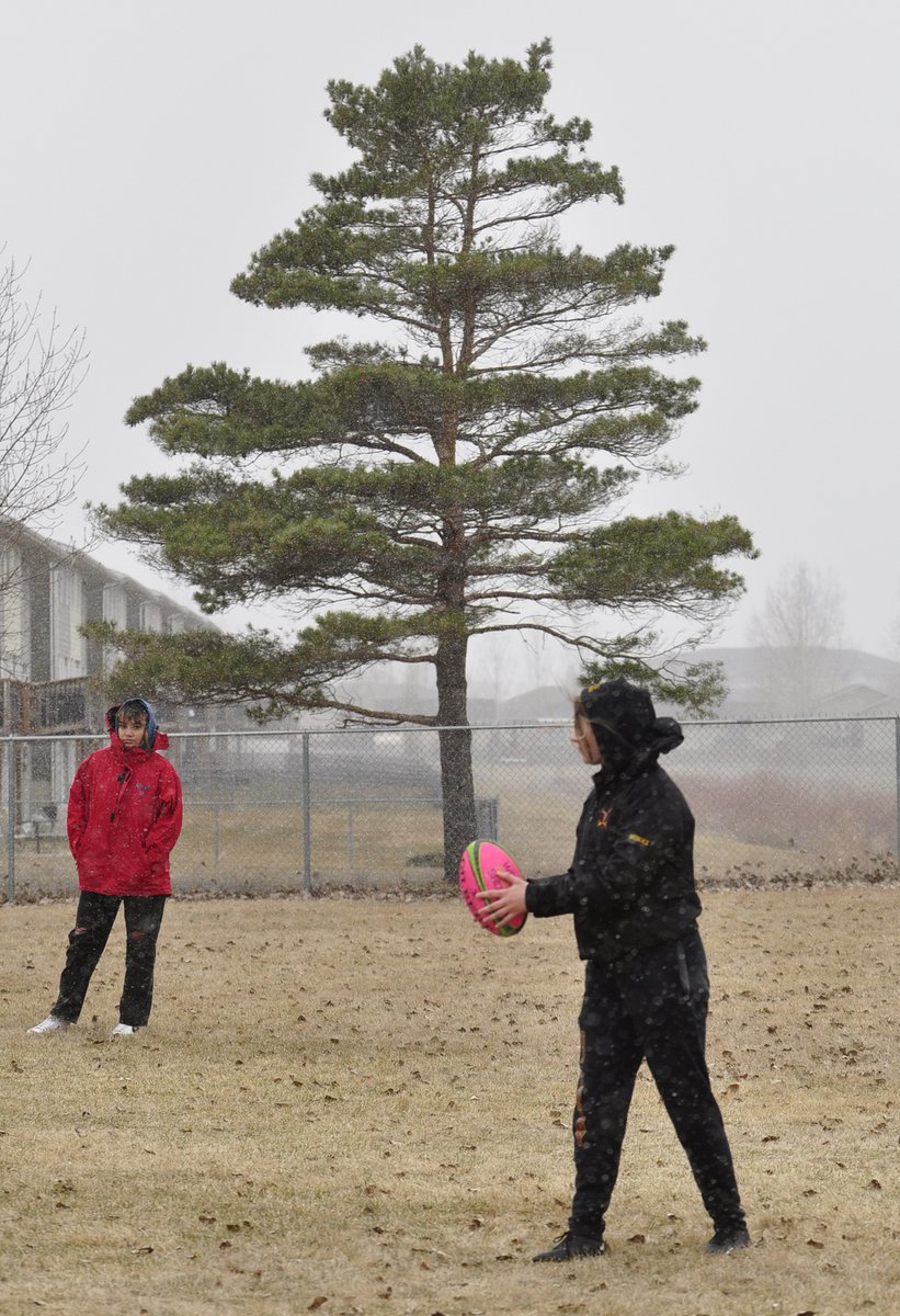 Jules S. Xavier tweet media