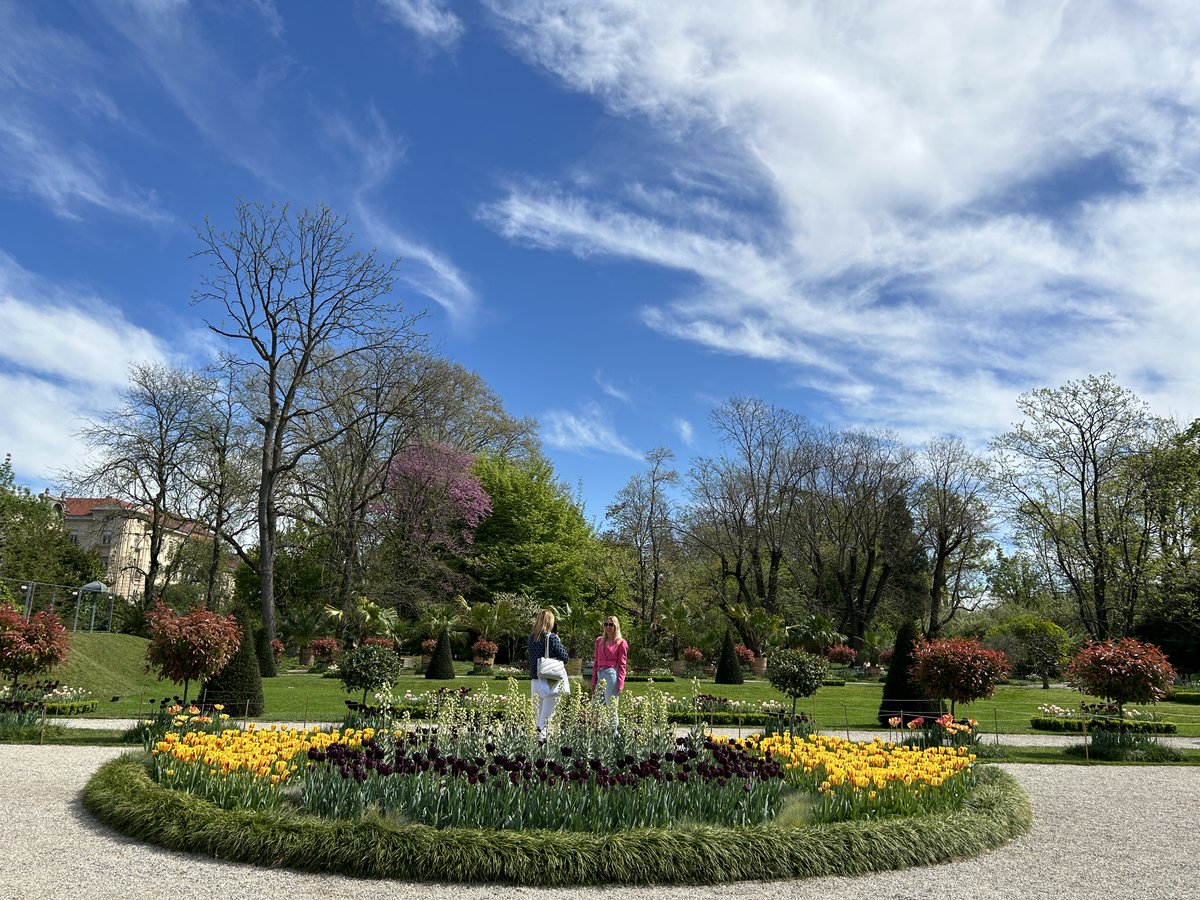 DanicaMacanga's tweet image. The garden of Eden can be everywhere. Watching, listening and reacting to good and bad. They have a lucky day Sunday. 👋
#garden #reacting #sunday