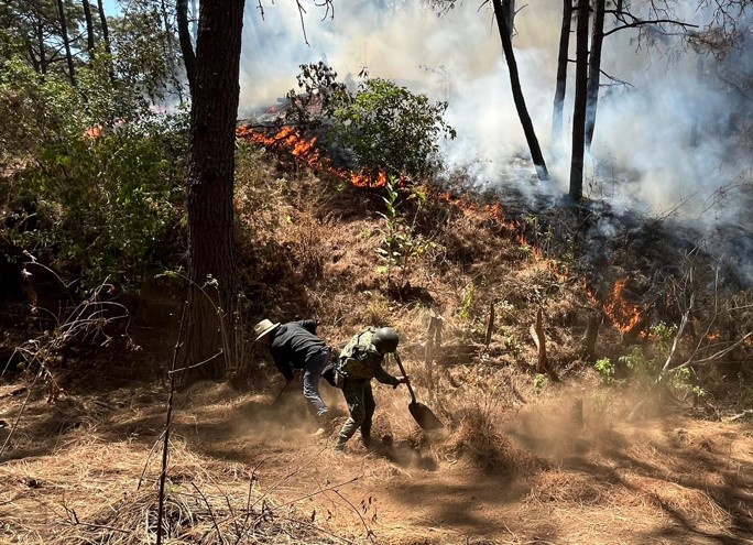 La #GuardiaNacional, a través del #PlanGN_A de auxilio a la población, apoya al #EjércitoMexicano y autoridades de protección civil en la sofocación del incendio forestal registrado en las inmediaciones de la localidad El Molinito en Apatzingán, #Michoacán.