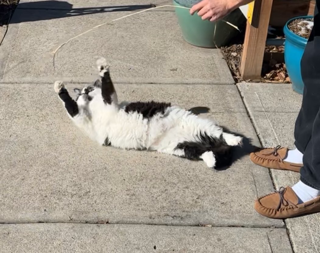 背を高くしようとしている